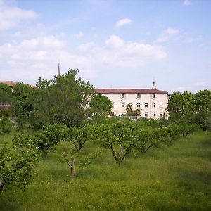 Hotel Des Oliviers